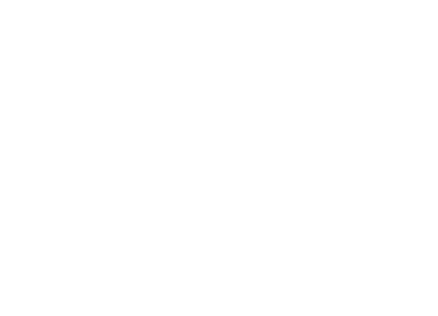 The Sanford Organization